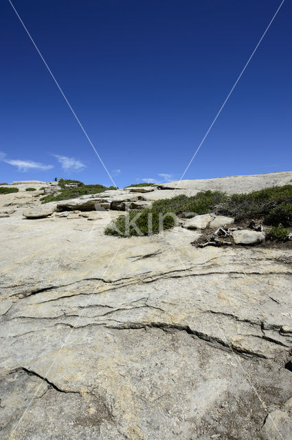 Yosemite National park