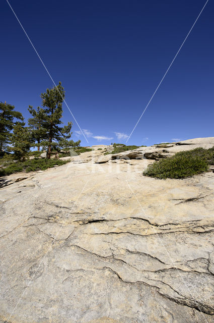 Yosemite National park