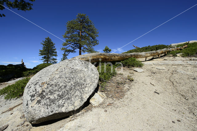 Yosemite National park