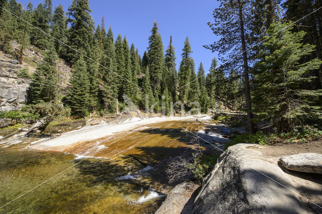 Yosemite National park