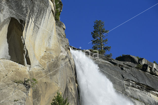 Yosemite National Park