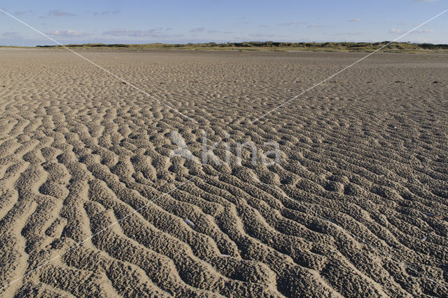 Duinen van Goeree