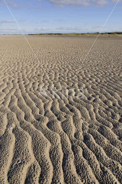 Duinen van Goeree