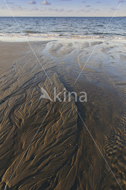 Duinen van Goeree