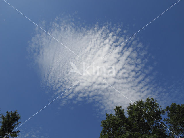 cirrocumulus