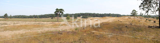 National Park Loonse en Drunense Duinen