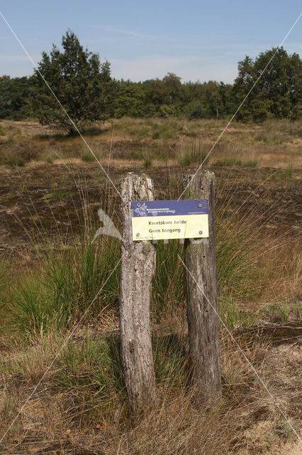 Nationaal Park Loonse en Drunense Duinen