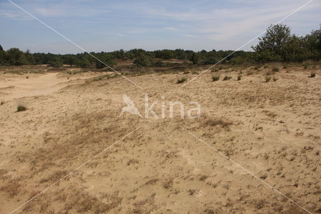 Nationaal Park Loonse en Drunense Duinen