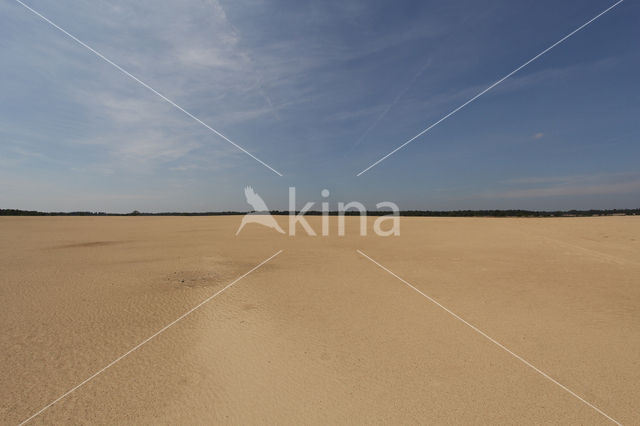 National Park Loonse en Drunense Duinen