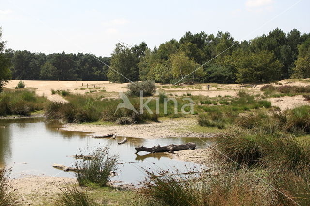 Nationaal Park Loonse en Drunense Duinen