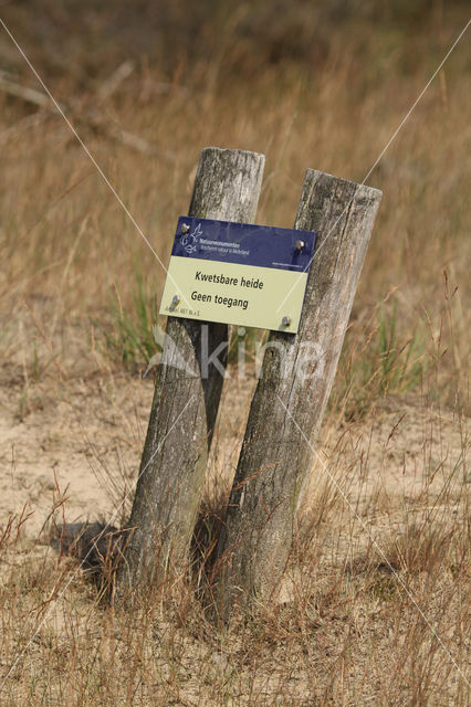 Nationaal Park Loonse en Drunense Duinen