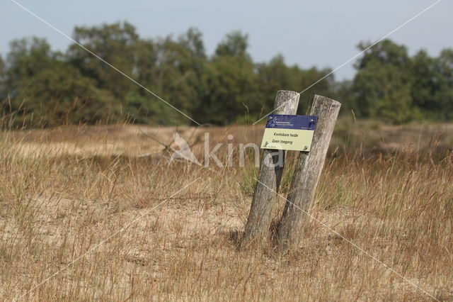 Nationaal Park Loonse en Drunense Duinen