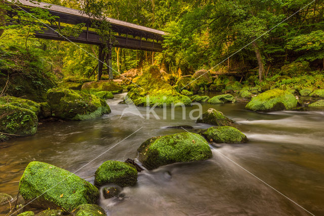 Natuurpark Südeifel