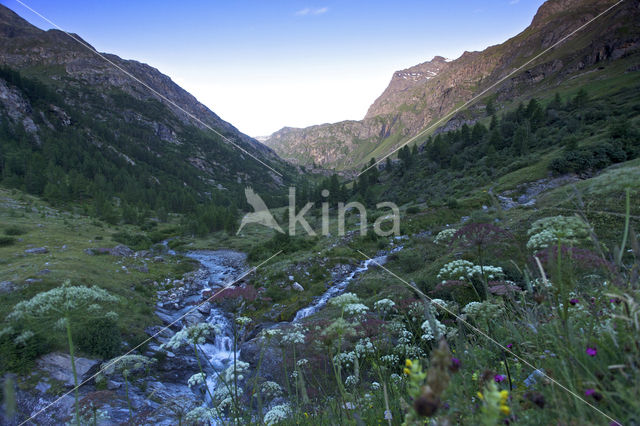 Val di Rhemes