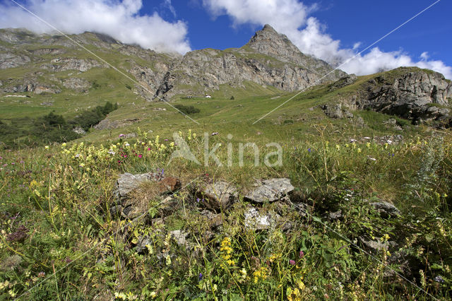 Val di Rhemes