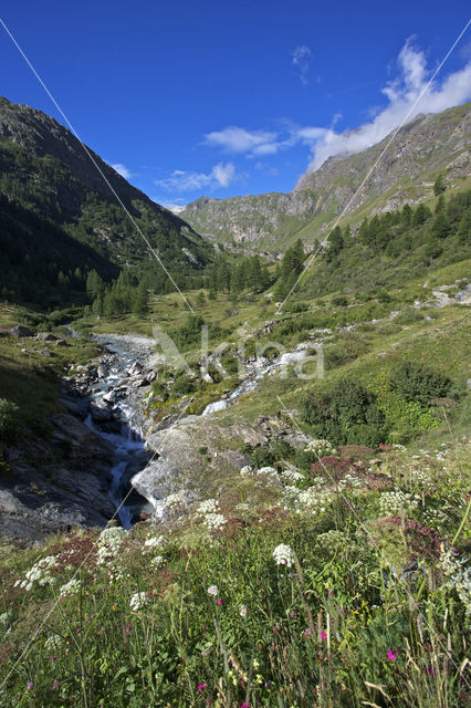 Val di Rhemes