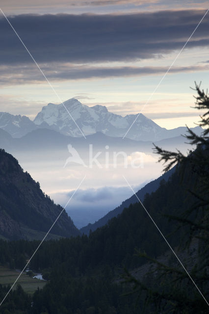 evening light