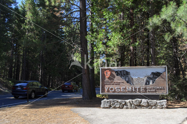 Yosemite National park