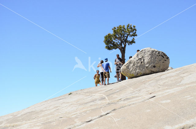 Yosemite National Park