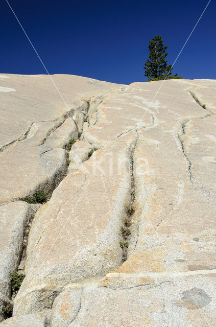 Yosemite National Park