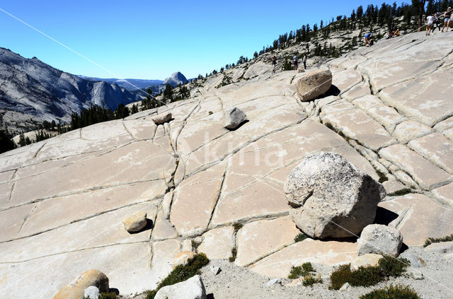 Yosemite National Park