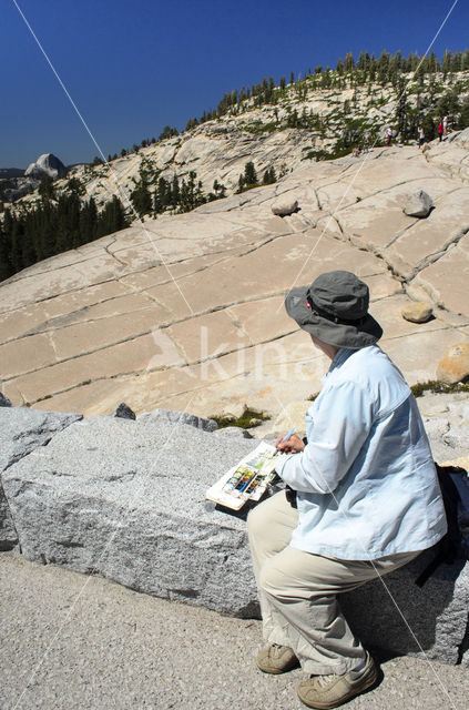 Yosemite National Park