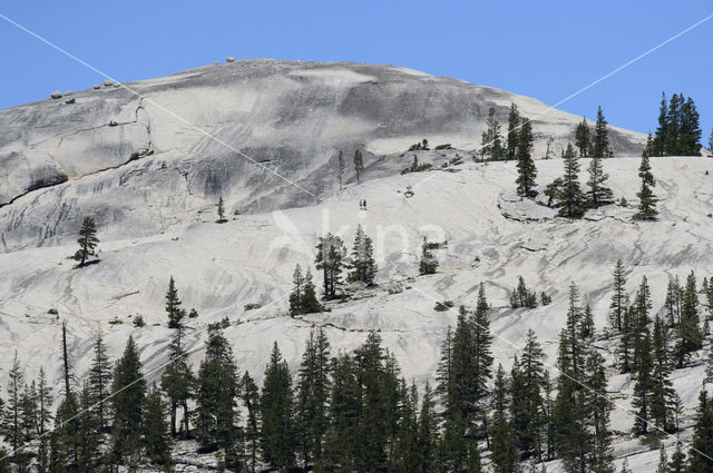 Yosemite National Park