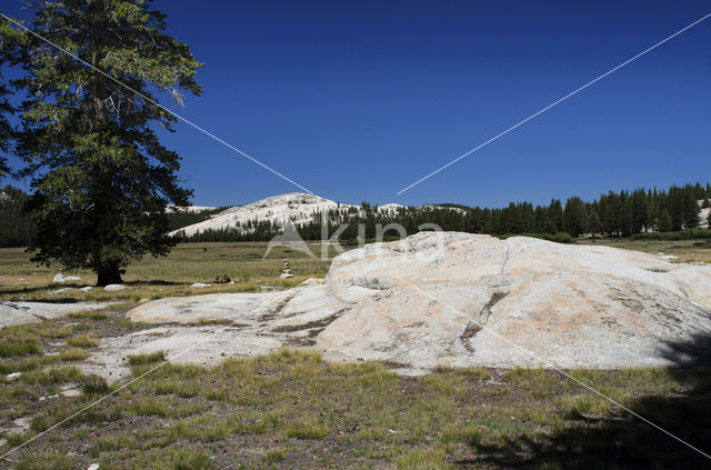 Yosemite National Park