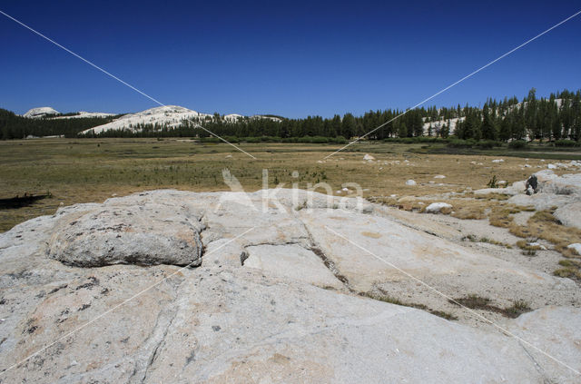 Yosemite National Park