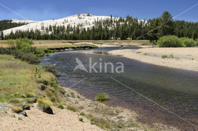 Yosemite National Park