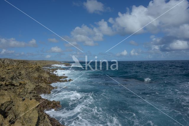 Aruba