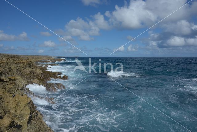 Aruba