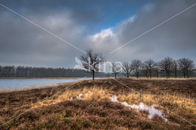 Duurswouderheide