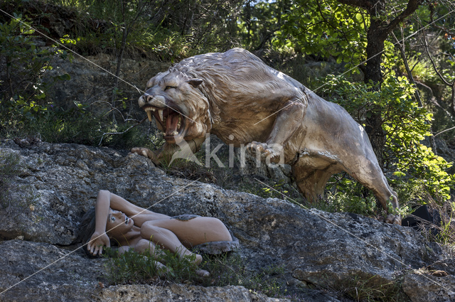 Eurasian cave lion (Panthera leo spelaea)