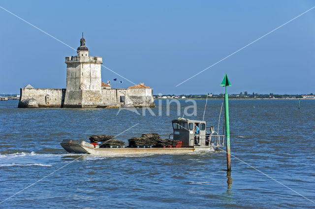 Fort Louvois