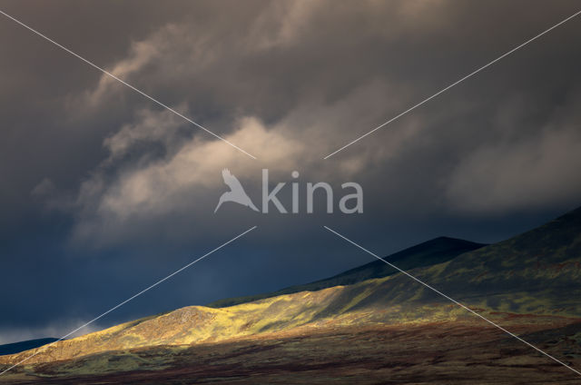 black sky