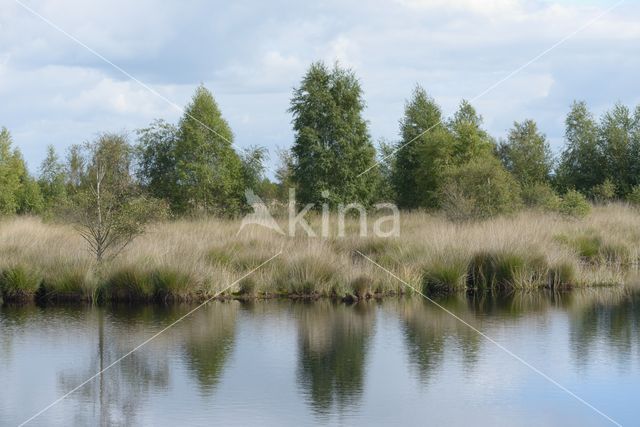 Nationaal Park de Groote Peel