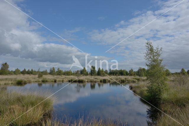 Nationaal Park de Groote Peel