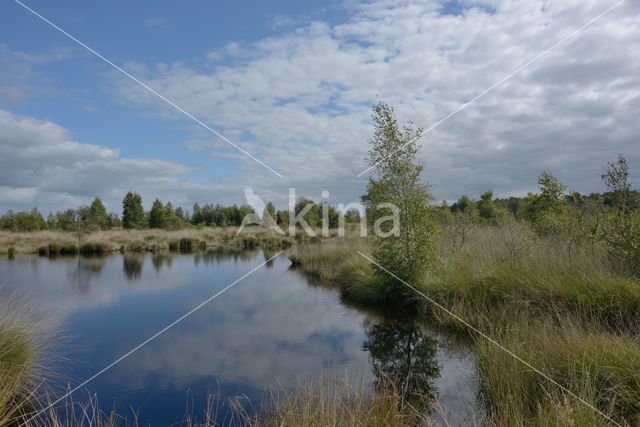 Nationaal Park de Groote Peel