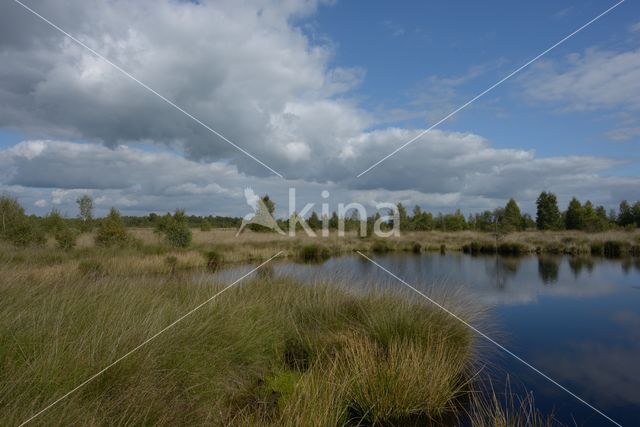 Nationaal Park de Groote Peel