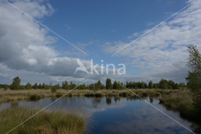 Nationaal Park de Groote Peel