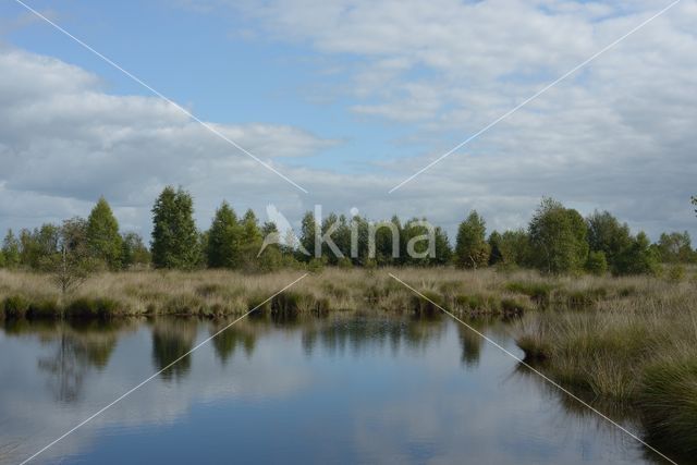 Nationaal Park de Groote Peel