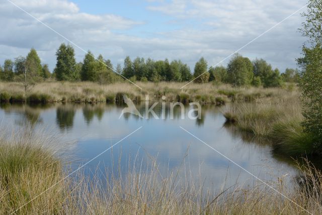 Nationaal Park de Groote Peel