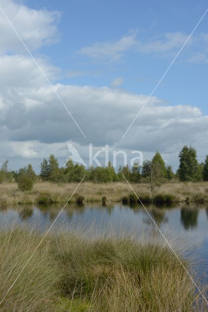 Nationaal Park de Groote Peel