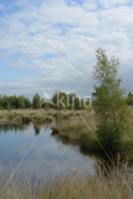 Nationaal Park de Groote Peel