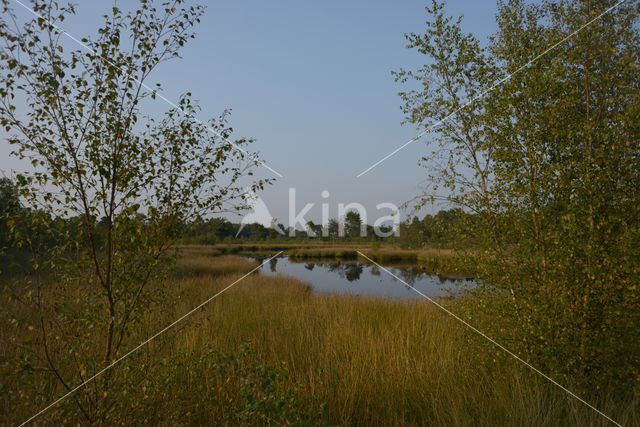 Nationaal Park de Groote Peel