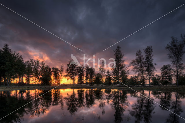 Nationaal Park Drents-Friese Wold