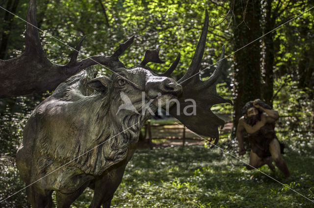 Irish elk (Megaloceros giganteus)