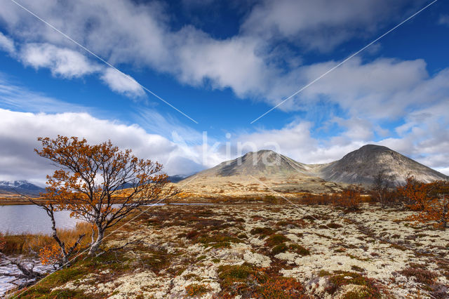 Rondane National Park