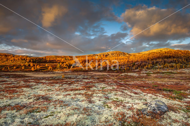 Rondane National Park